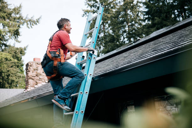 Best Rubber Roofing (EPDM, TPO)  in Thornton, IL